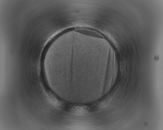 X0000096730488200803041226