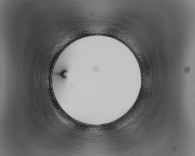 X0000096730489200803041226