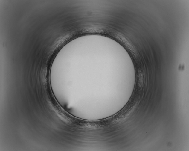 X0000096730490200803041226