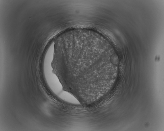 X0000096730491200803041226