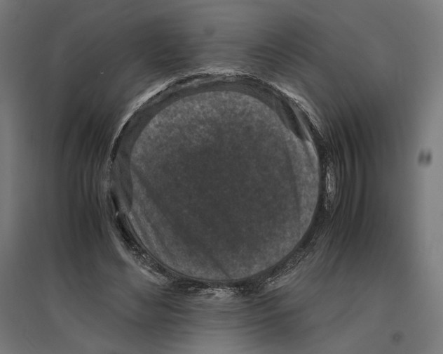 X0000096730492200803041226