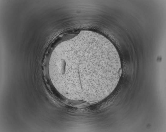 X0000096730493200803041226