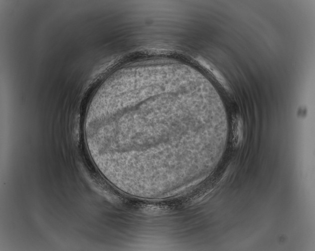 X0000096730494200803041226