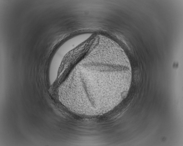 X0000096730495200803041226