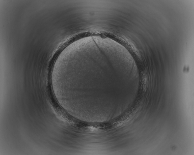 X0000096730496200803041226