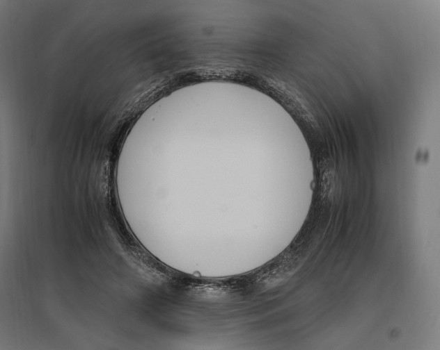X0000096730498200803041226