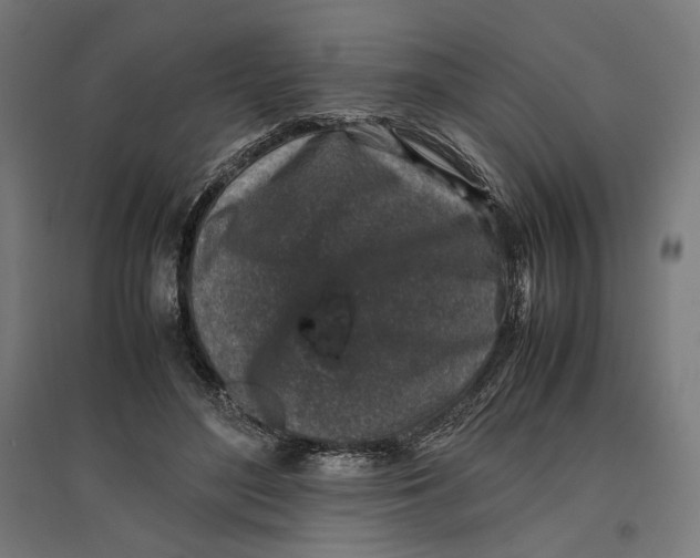 X0000096730500200803041226