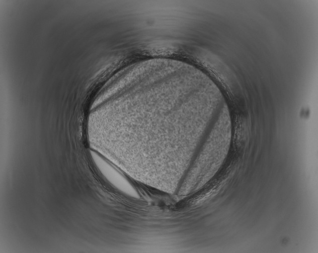 X0000096730501200803041226