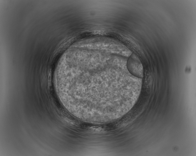 X0000096730502200803041226