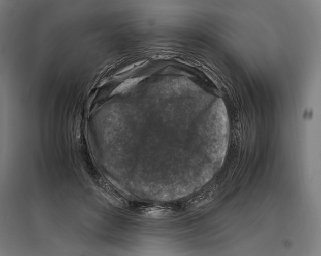 X0000096730504200803041226