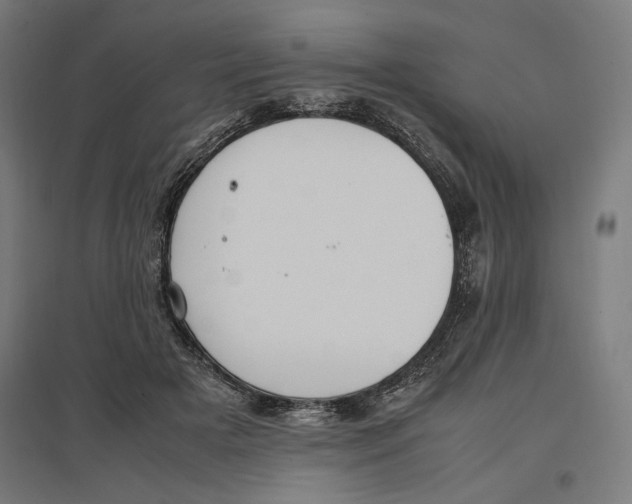 X0000096730505200803041226