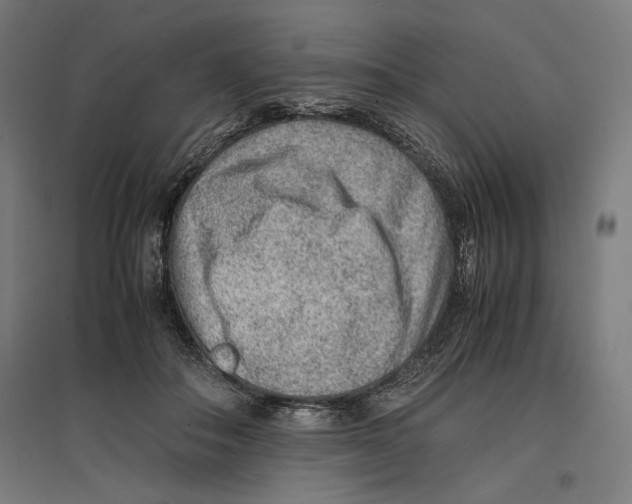 X0000096730506200803041226