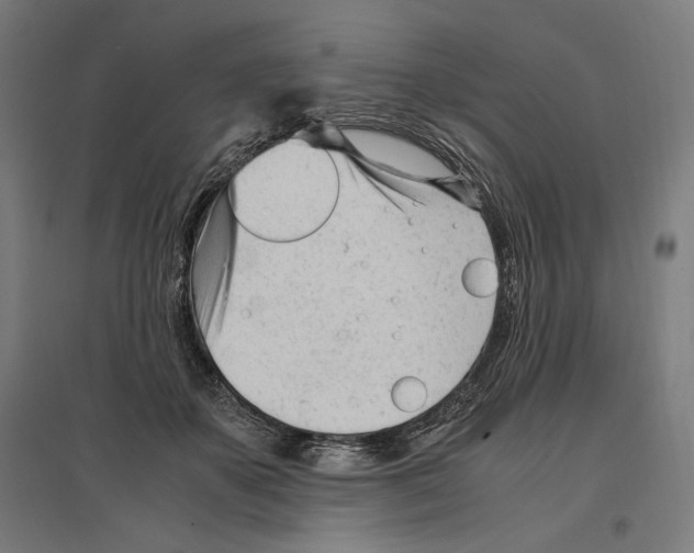 X0000096730507200803041226