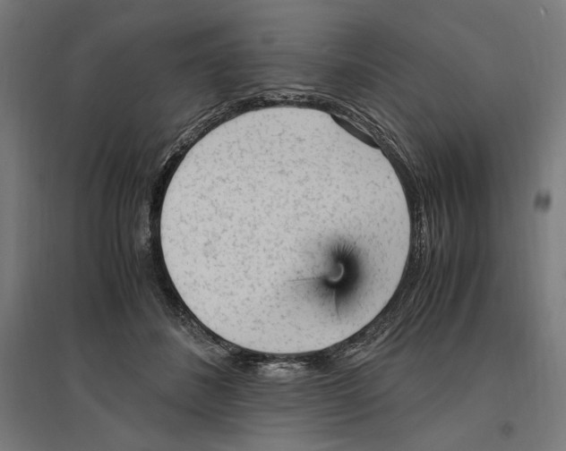 X0000096730508200803041226