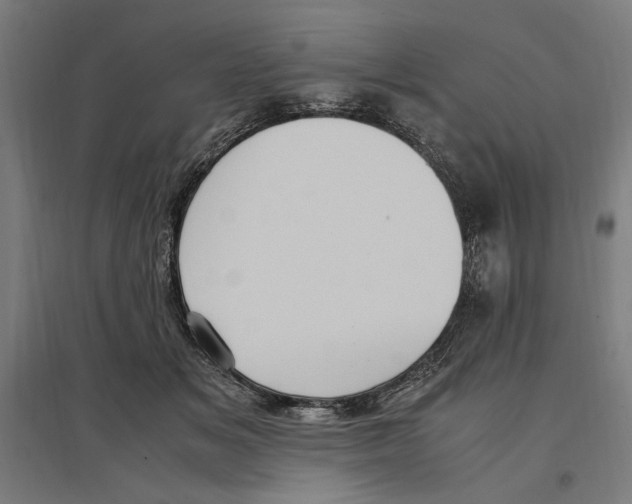 X0000096730509200803041225