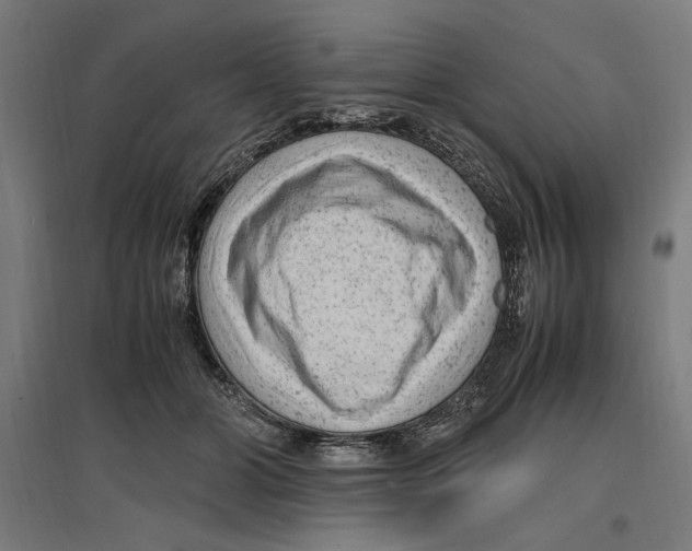 X0000096730510200803041225