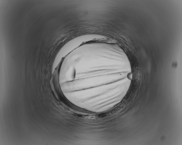 X0000096730511200803041225