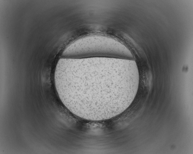 X0000096730512200803041225