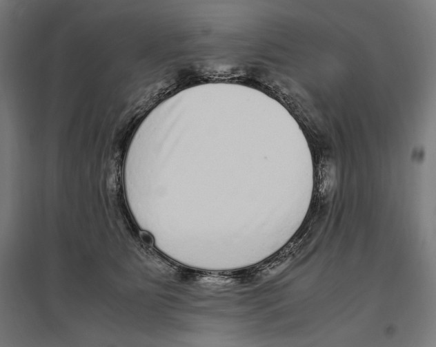 X0000096730515200803041225