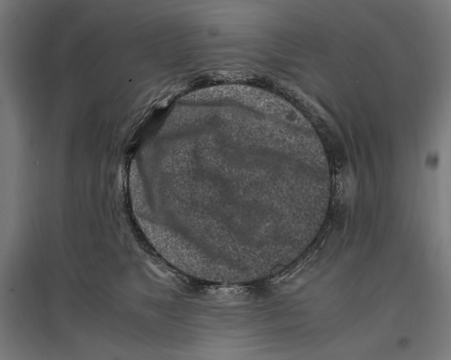 X0000096730517200803041225