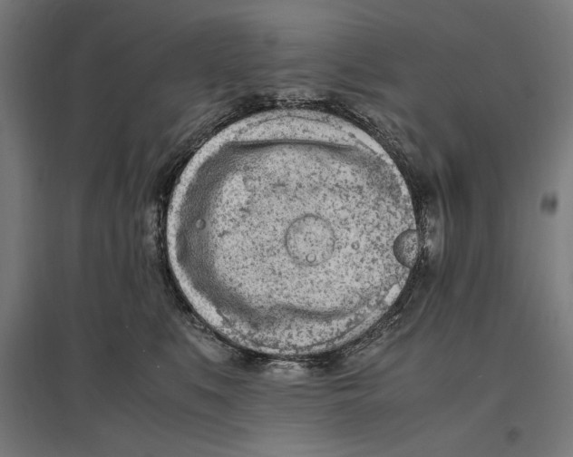 X0000096730519200803041225