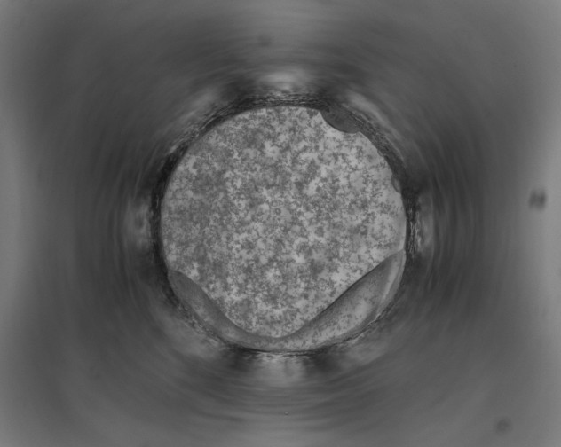 X0000096730520200803041225