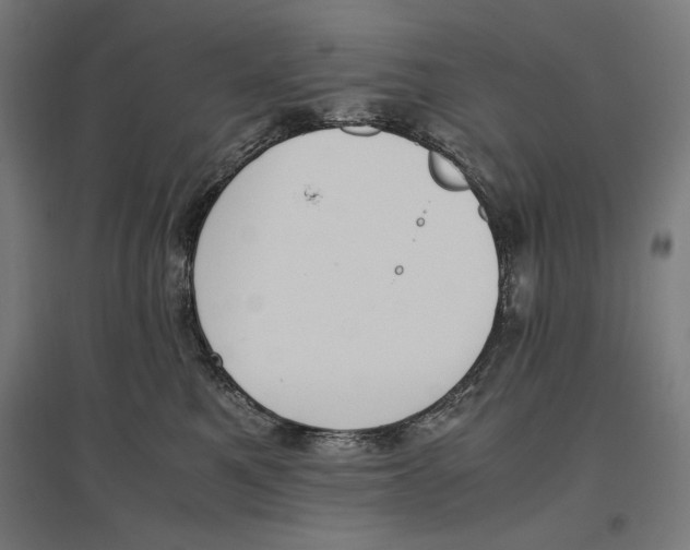 X0000096730521200803041225