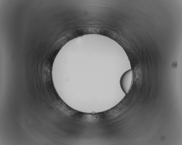 X0000096730522200803041225