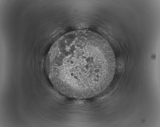 X0000096730523200803041225