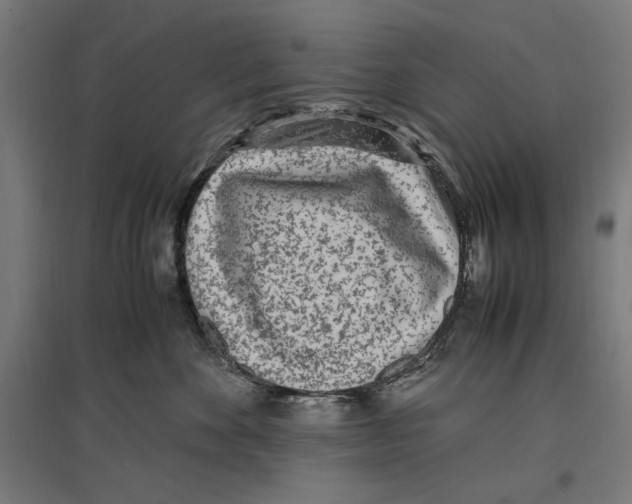 X0000096730524200803041225