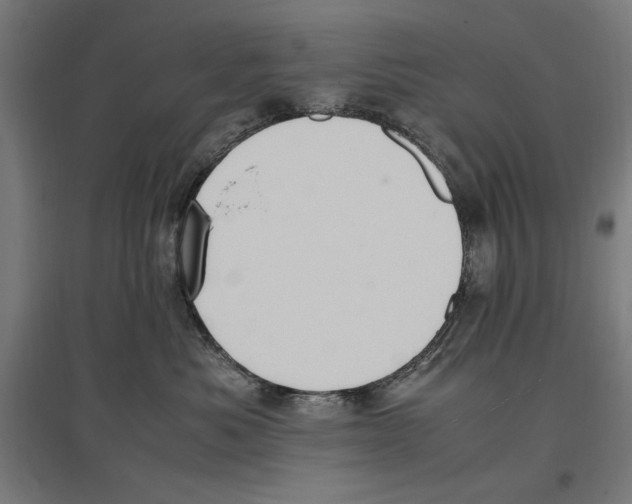 X0000096730525200803041225