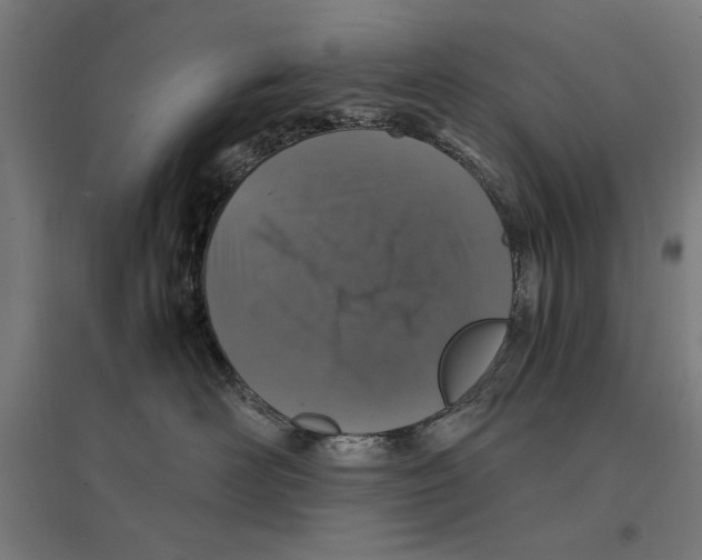 X0000096730526200803041225