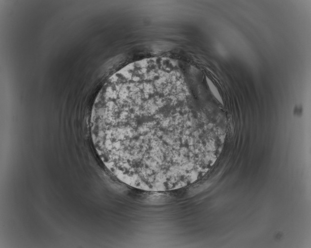 X0000096730527200803041225