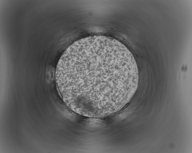 X0000096730528200803041225