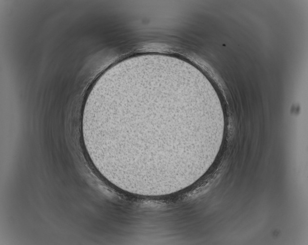 X0000096730529200803041225