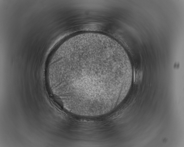 X0000096730531200803041225