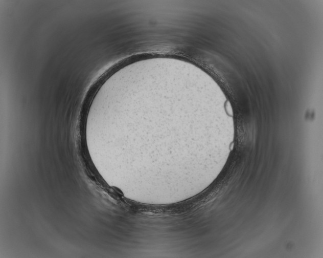 X0000096730532200803041225
