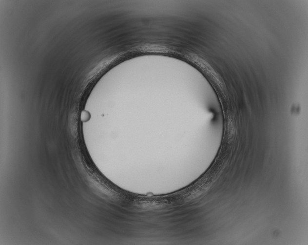X0000096730533200803041225