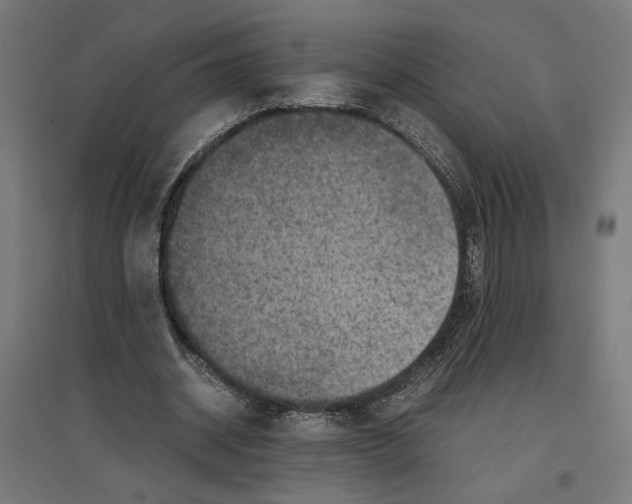 X0000096730534200803041225