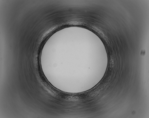 X0000096730535200803041225