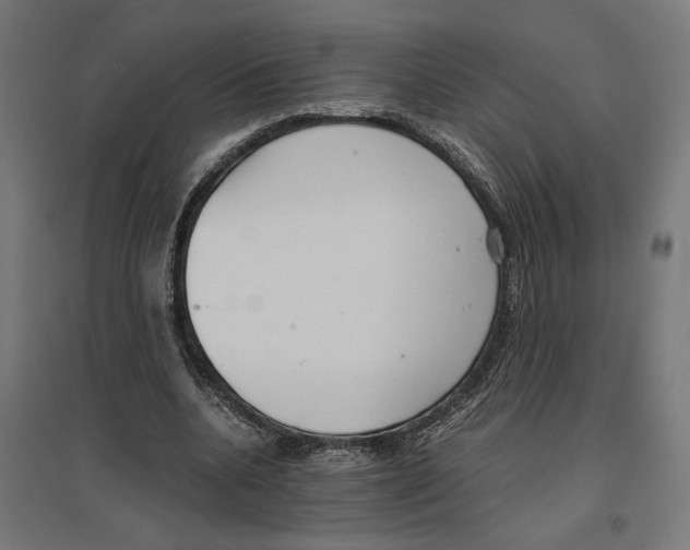 X0000096730536200803041225