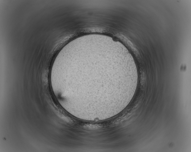 X0000096730537200803041225