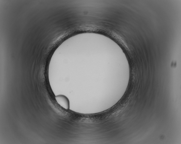 X0000096730538200803041225