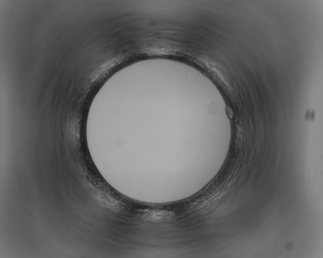 X0000096730539200803041225