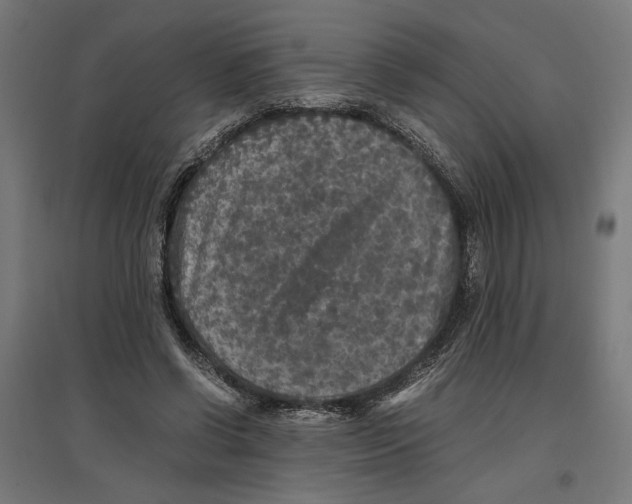 X0000096730542200803041225