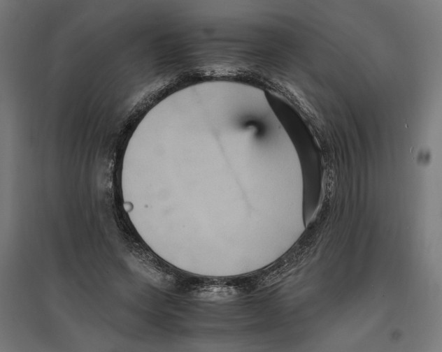 X0000096730543200803041225