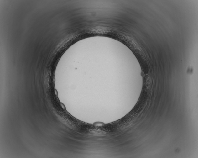 X0000096730544200803041225