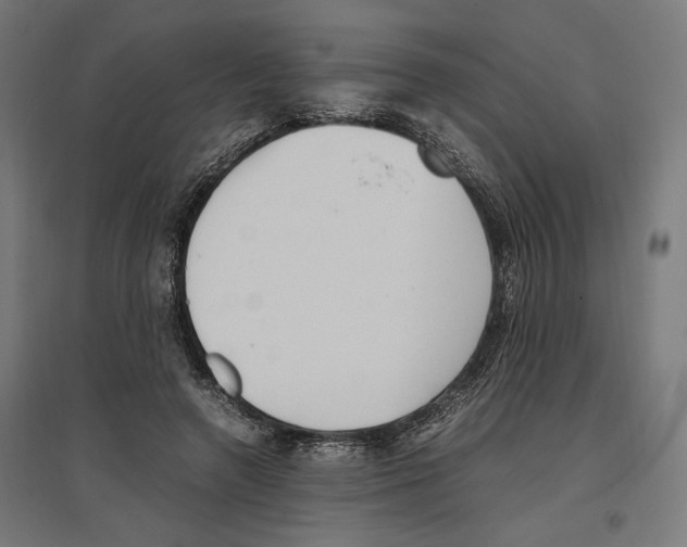 X0000096730546200803041225