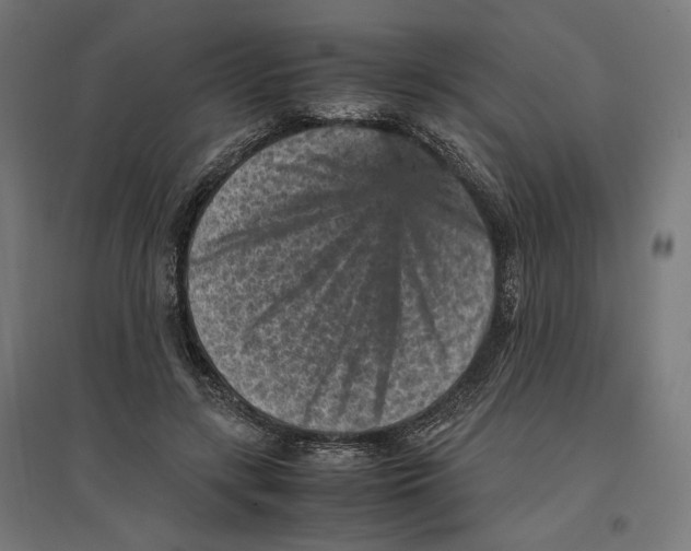 X0000096730547200803041225
