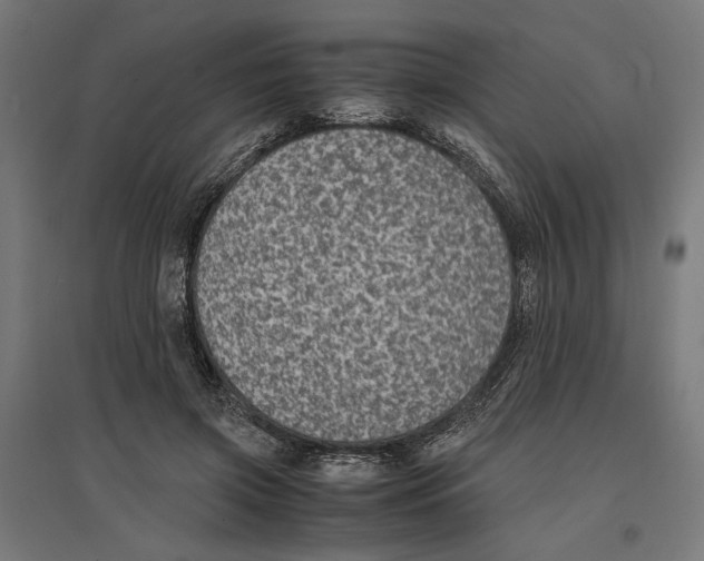 X0000096730549200803041225